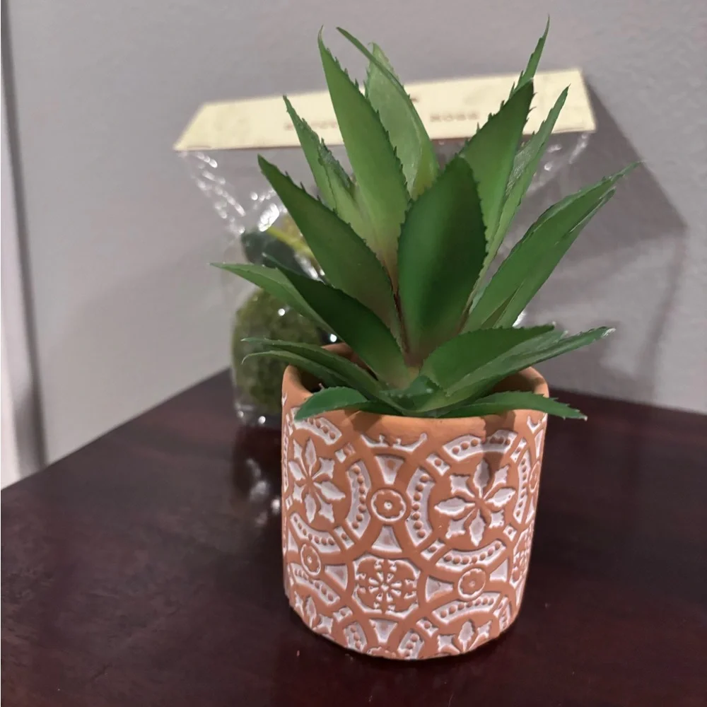 NWT in bag. Cost Plus World Market Faux Succulents/moss. And Small plant.